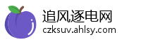 追风逐电网